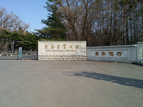 &#20061;&#28216;&#22312;&#32447;&#23448;&#26041;&#23448;&#32593;&#45;&#20061;&#28216;&#40;&#20013;&#22269;&#41;
